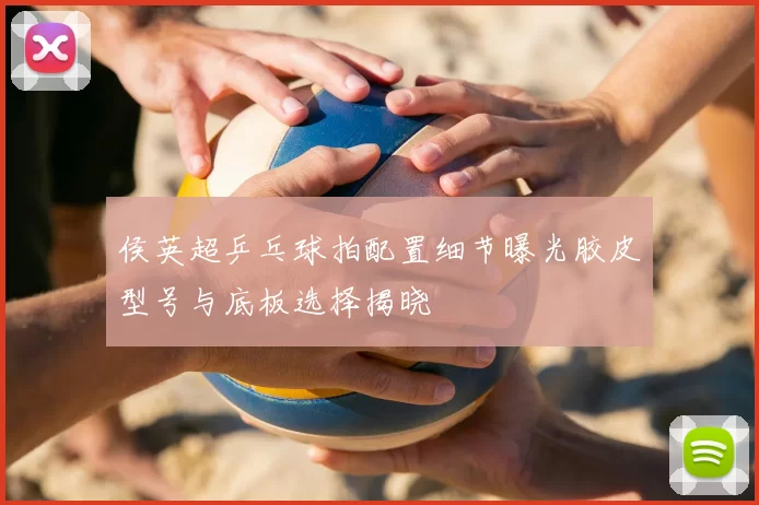 侯英超乒乓球拍配置细节曝光胶皮型号与底板选择揭晓