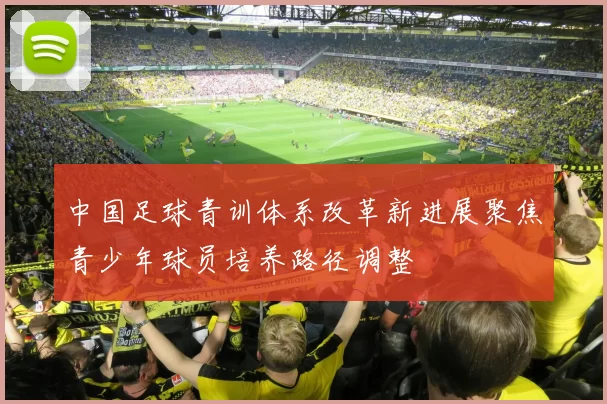 中国足球青训体系改革新进展聚焦青少年球员培养路径调整