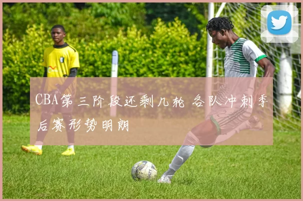 CBA第三阶段还剩几轮 各队冲刺季后赛形势明朗