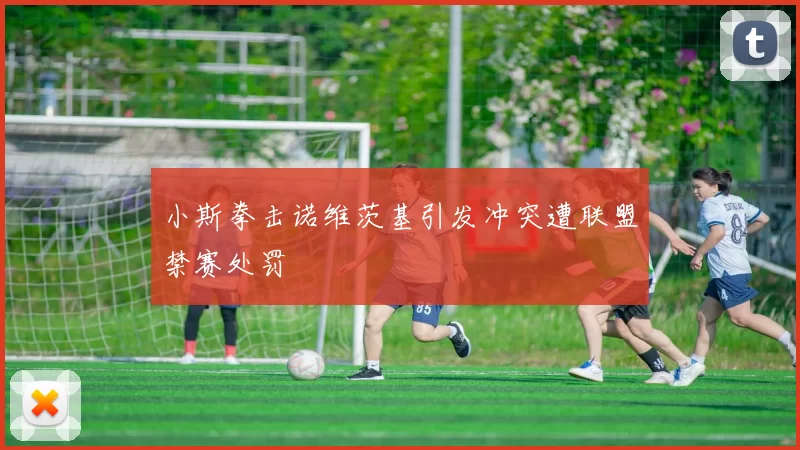 小斯拳击诺维茨基引发冲突遭联盟禁赛处罚