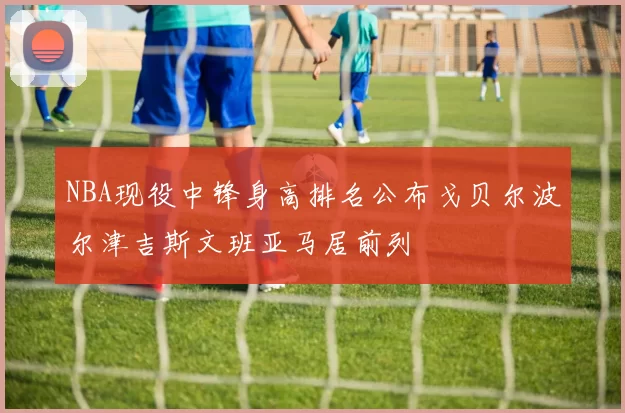 NBA现役中锋身高排名公布戈贝尔波尔津吉斯文班亚马居前列