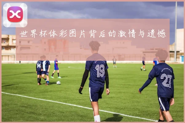世界杯体彩图片背后的激情与遗憾