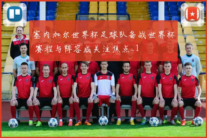 塞内加尔世界杯足球队备战世界杯 赛程与阵容成关注焦点_1