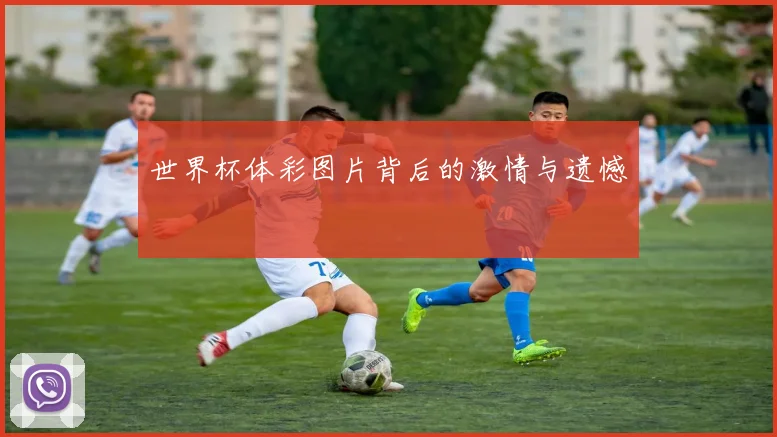 世界杯体彩图片背后的激情与遗憾