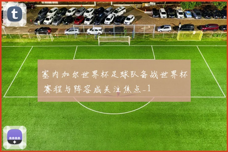 塞内加尔世界杯足球队备战世界杯 赛程与阵容成关注焦点_1